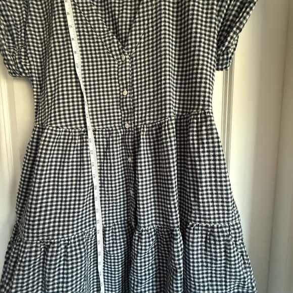 Madewell Classic Navy and White Gingham Dress - Picture 3 of 7